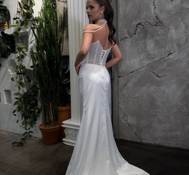 ac6e2cac-3377-41e2-b8b8-08ed78965975